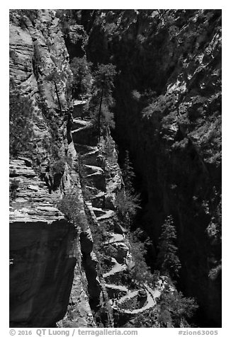 Walters Wiggles. Zion National Park (black and white)
