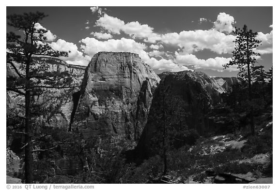 Great White Throne and Angels Landing from West Rim. Zion National Park (black and white)