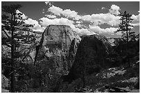 Great White Throne and Angels Landing from West Rim. Zion National Park ( black and white)