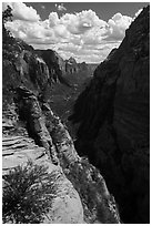 Zion Canyon from Angels Landing. Zion National Park ( black and white)