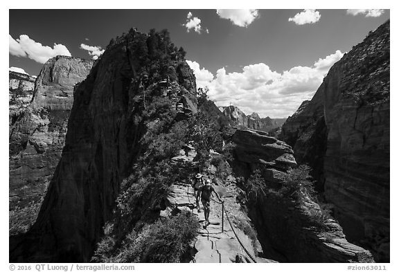 Hikers on narrow spine of Angels Landing. Zion National Park (black and white)