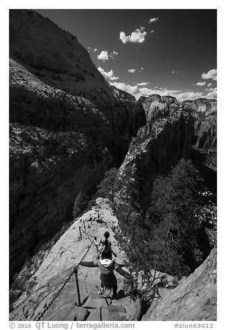 Hikers using chains and steps to descend Angels Landing. Zion National Park (black and white)
