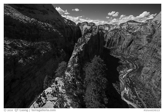 Hikers descend vertiginous spine of Angels Landing. Zion National Park (black and white)