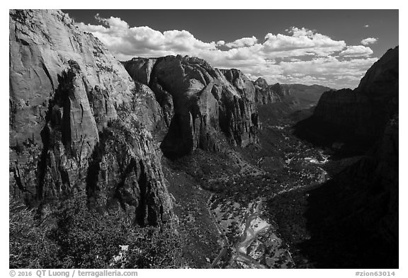 Zion Canyon from Angels Landing, afternoon. Zion National Park (black and white)