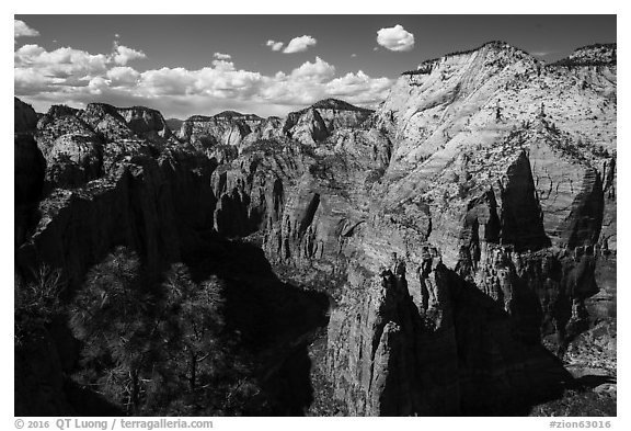 View north from Angels Landing. Zion National Park (black and white)