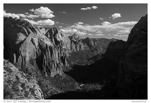 Zion Canyon and shadows from Angels Landing. Zion National Park (black and white)
