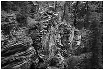 Refrigerator Canyon. Zion National Park ( black and white)