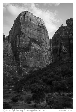 Great White Throne, late afternoon. Zion National Park (black and white)