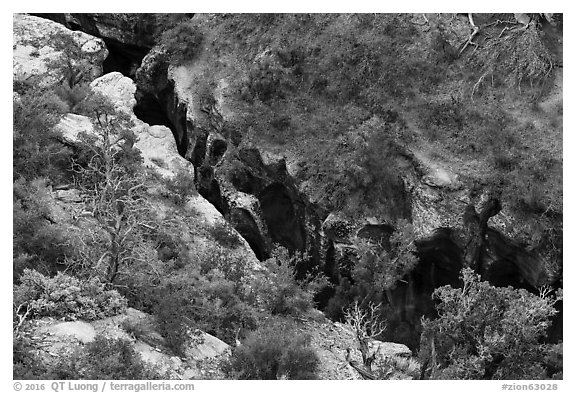 Pine Creek Canyon from above. Zion National Park (black and white)
