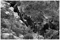 Pine Creek Canyon from above. Zion National Park ( black and white)