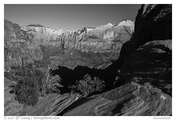 Canyon Overlook, early morning. Zion National Park (black and white)