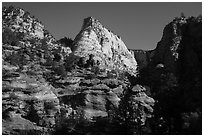 Deertrap Mountain. Zion National Park ( black and white)