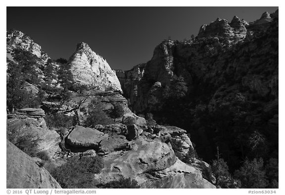 White Deertrap Mountain stands out amongst red sandstone. Zion National Park (black and white)