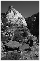 Deertrap Mountain, early morning. Zion National Park ( black and white)