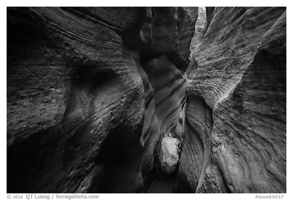 Red walls of Keyhole Canyon and white chockstone. Zion National Park (black and white)