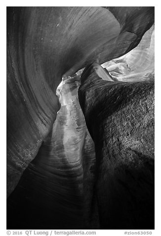 Looking up Keyhole Canyon. Zion National Park (black and white)