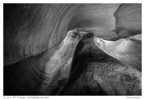 Swirling canyon walls, Keyhole Canyon. Zion National Park (black and white)