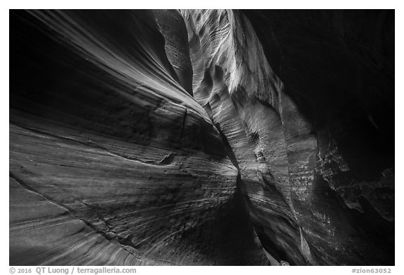 Slanted slot walls, Keyhole Canyon. Zion National Park (black and white)