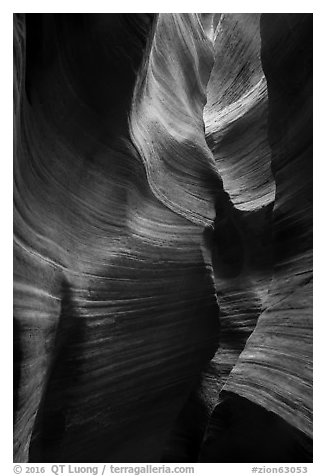 Sculptural walls, Keyhole Canyon. Zion National Park (black and white)