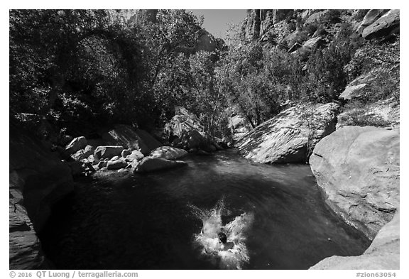 Swimming hole, Pine Creek. Zion National Park (black and white)