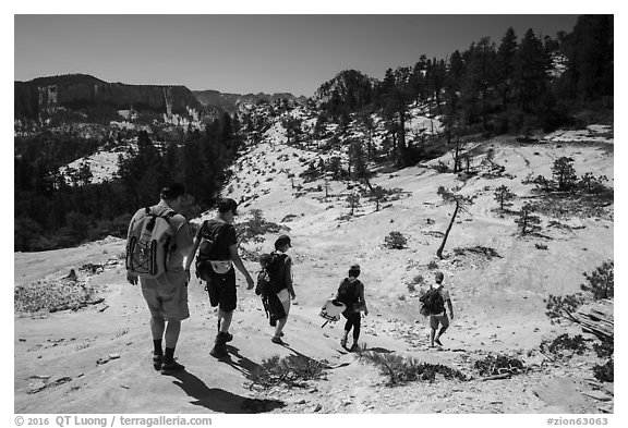 Hikers on slabs in Russell Gulch. Zion National Park (black and white)