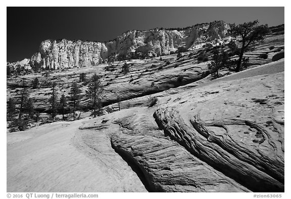 Slickrock and cliffs, Russell Gulch. Zion National Park (black and white)