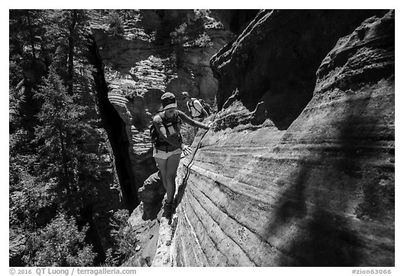 Hiker on narrow ledge, Russell Gulch. Zion National Park (black and white)