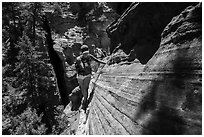 Hiker on narrow ledge, Russell Gulch. Zion National Park ( black and white)