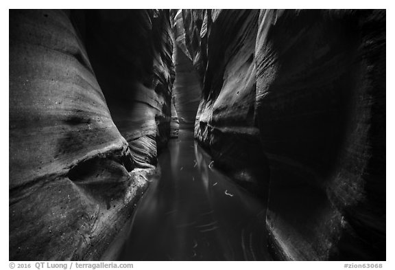 Narrow squeeze, Das Boot Canyon. Zion National Park (black and white)
