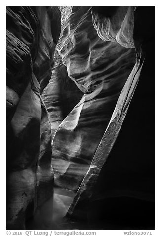 Tight and sculptured section of Upper Left Fork slot canyon. Zion National Park (black and white)