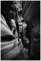 Tight squeeze, Upper Left Fork (Das Boot). Zion National Park ( black and white)