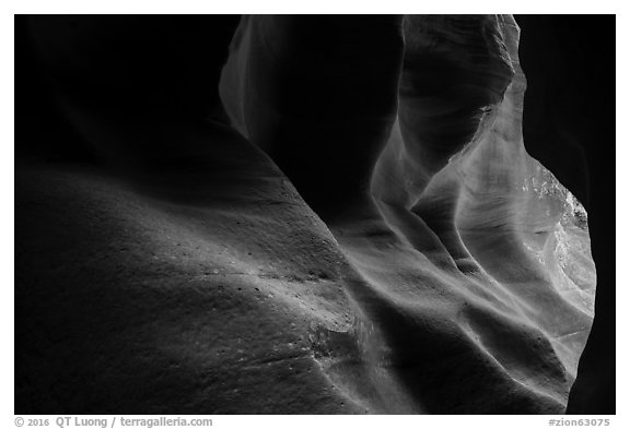 Slot canyon exit, Upper Left Fork (Das Boot). Zion National Park (black and white)