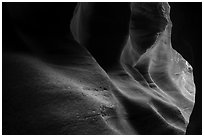 Slot canyon exit, Upper Left Fork (Das Boot). Zion National Park ( black and white)