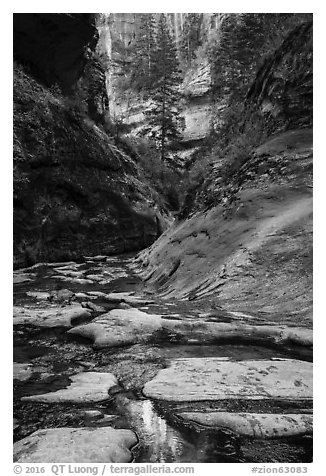 Stream and canyon walls, Left Fork. Zion National Park (black and white)