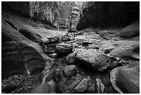 Cascades and boulders, Left Fork. Zion National Park ( black and white)