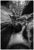 Cascades around boulders, Left Fork. Zion National Park ( black and white)