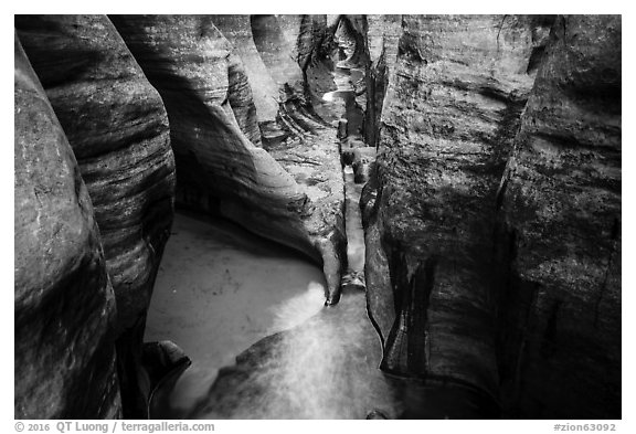 Golden reflections in tight passageway, Left Fork. Zion National Park (black and white)
