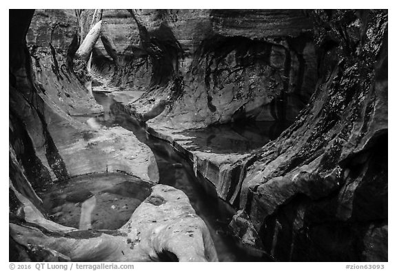Tight channel in canyon, Left Fork. Zion National Park (black and white)