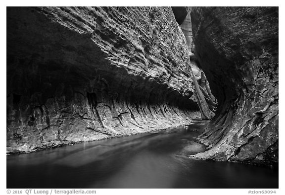Left Fork flows in tight section of Upper Subway. Zion National Park (black and white)