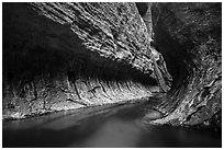 Left Fork flows in tight section of Upper Subway. Zion National Park ( black and white)