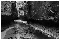 Left Fork flows in Upper Subway. Zion National Park ( black and white)