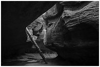 Log carried by flash floods, Upper Subway. Zion National Park ( black and white)