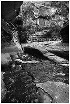 Green reflections, Upper Subway. Zion National Park ( black and white)