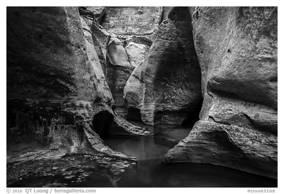 Pools and sculptured walls, Subway. Zion National Park (black and white)