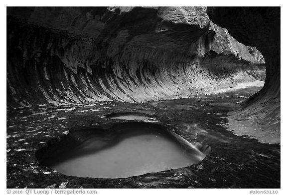 Pool and alcove, the Subway. Zion National Park (black and white)