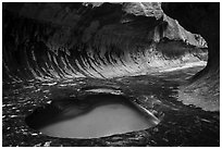 Pool and alcove, the Subway. Zion National Park ( black and white)
