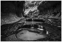 Left Fork flowing over pools, the Subway. Zion National Park ( black and white)