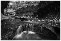 Cascades and pools, the Subway. Zion National Park ( black and white)