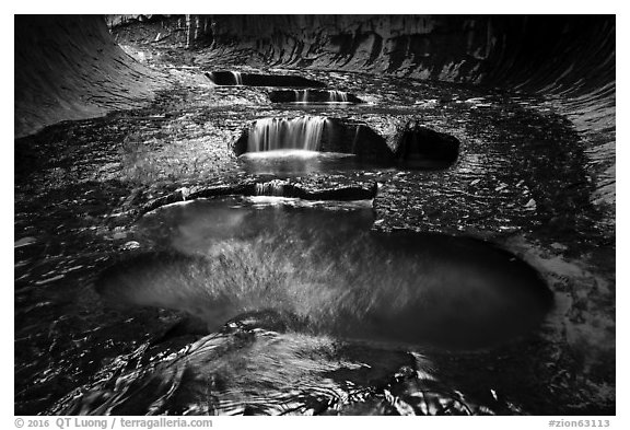 Golden reflections in pools, the Subway. Zion National Park (black and white)