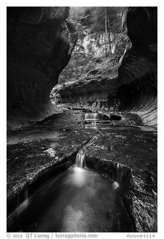 Water cascading over pools, the Subway. Zion National Park (black and white)